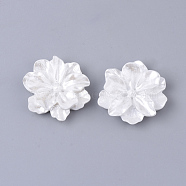 Resin Cabochons, Imitation Pearl Style, Flower, White, 23~24x23~24x7mm(RESI-S364-46B)