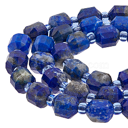 SUPERFINDINGS 1 Strand Natural Lapis Lazuli Beads Strands, with Seed Beads, Faceted, Bicone, Double Terminated Point Prism Beads, 5~7x6mm, Hole: 0.8mm, about 48pcs/strand, 15.55 inch(39.5cm)(G-FH0002-23)