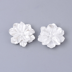 Resin Cabochons, Imitation Pearl Style, Flower, White, 23~24x23~24x7mm(RESI-S364-46B)