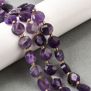 Natural Amethyst Beads Strands, Faceted Coin Beads, Flat Round, with Seed Beads, 10x5mm, Hole: 1mm, about 32~33pcs/strand, 14.96~15.55''(38~39.5cm)