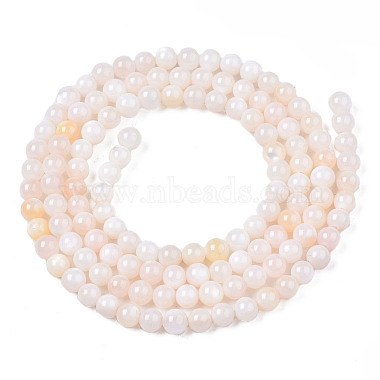 Natural Freshwater Shell Beads Strands(BSHE-T009A-01B)-2