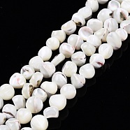 Natural Trochid Shell/Trochus Shell Beads Strands, Bleach, Nuggets, Creamy White, 7~12x5~10x4~8mm, Hole: 1mm, about 60~64pcs/strand, 15.16 inch~15.75 inch(38.5~40cm)(SSHEL-N032-48-B01)