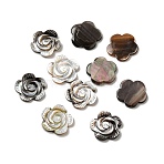 Rose Black Lip Shell Cabochons, 17x2mm(SSHEL-E553-09)