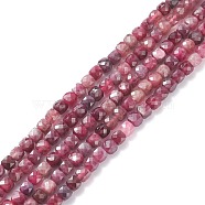 Natural Red Tourmaline Beads Strands, Faceted, Cube, Grade AAA, 4mm, Hole: 0.7mm, about 100pcs/strand, 15.55 inch(39.5cm)(X-G-A021-01C)
