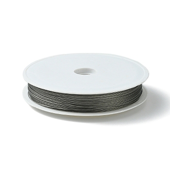 1 Roll Beading Wirer, Tiger Tail Wire, Nylon-coated Stainless Steel, Original Color, Raw, 0.35mm, about 229.65 Feet(70m)/roll