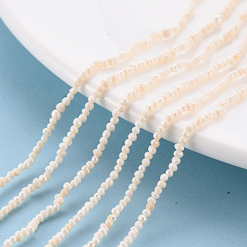 Natural Cultured Freshwater Pearl Beads Strands, Seashell Color, 1.5~2x1.5~3x1.5~2mm, Hole: 0.5mm, about 142pcs/strand, 13.78 inch(35cm)