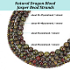 4 Strands 4 Styles Natural Dragon Blood Jasper Bead Strands(G-OC0005-10)-4