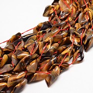 Natural Tiger Eye Bead Strands, Calla Lily, 26~30x14~18x9mm, Hole: 1mm, about 13pcs/strand, 16 inch(G-E254-07-28x15mm)