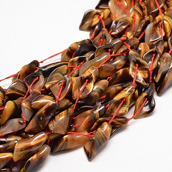 Natural Tiger Eye Bead Strands, Calla Lily, 26~30x14~18x9mm, Hole: 1mm, about 13pcs/strand, 16 inch