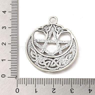 pendants en alliage de style tibétain(PALLOY-M217-22AS)-3