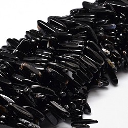 Natural Black Agate Chip Beads Strands, Dyed & Heated, 8~30x5~12mm, Hole: 1mm, about 15.3 inch~15.7 inch(G-E271-07)