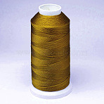 Nylon Braided Thread, Cord For Tassel Making, Goldenrod, 0.3mm, about 1093.61 yards(1000m)/roll(NWIR-D047-09)