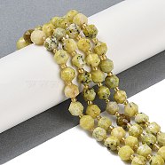 Natural Yellow Turquoise(Jasper) Beads Strands, Faceted, Bicone, Double Terminated Point Prism Beads, 8x7mm, Hole: 1.2mm, about 40pcs/strand, 15.16''(38.5cm)(G-O201B-118F)