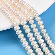 Natural Cultured Freshwater Pearl Beads Strands, Rondelle, Creamy White, 6~7x4~5mm, Hole: 0.5mm, about 77pcs/strand, 14.96''(38cm)(PEAR-N015-06A-01)