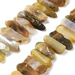Natural Botswana Agate Beads Strands, Top Drilled Beads, Rectangle, 24~62x8~14x4~9mm, Hole: 1.8mm, about 34~39pcs/strand, 15.04''~15.51''(38.2~39.4cm)(G-L551B-15)