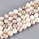 AB Color Natural Freshwater Shell Beads Strands(X-BSHE-T014-40B)-1
