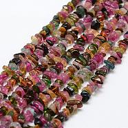 Natural Tourmaline Beads Strands, Chip, Grade A, Colorful, 4~13x3~13x1~4mm, Hole: 0.4mm, about 32~32.5 inch(G-F328-37)