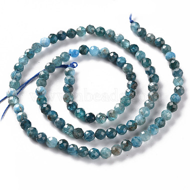 Natural Apatite Beads Strands(G-S362-110C)-2