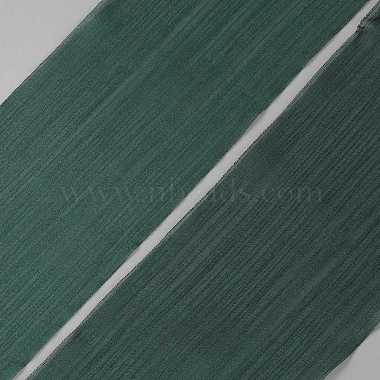 ruban de polyester(OCOR-WH20017-07C)-1