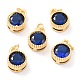 Real 18K Gold Plated Brass Inlaid Cubic Zirconia Charms(ZIRC-L100-081G-08)-1