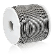 Tiger Tail, Nylon-coated 304 Stainless Steel Wire, Round, Stainless Steel Color, 2mm, 328.08 Feet(100m)/Roll(DIY-WH0430-567)