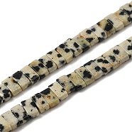 Natural Dalmatian Jasper Beads Strands, 2-Hole, Rectangle, 2.5~3x5x2.5mm, Hole: 0.8mm, about 138~140pcs/strand, 15.28''~15.31''(38.8~38.9cm)(G-Z045-A07-01)