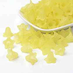 Transparent Acrylic Beads, Frosted, Flower, Champagne Yellow, 17.5x12mm, Hole: 1.5mm(X-PLF018-19)