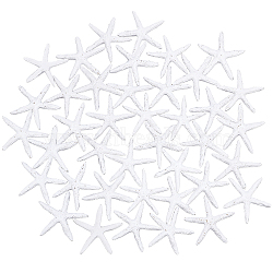 Resin Cabochons, Starfish/Sea Stars, White, 53~55x53~55x8mm(RESI-PH0001-34)