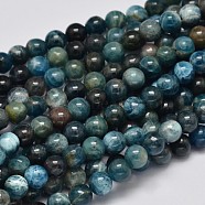 Round Natural Apatite Beads Strands, Grade AB, 6mm, Hole: 1mm, about 64pcs/strand, 15.7 inch(G-K068-02-6mm)