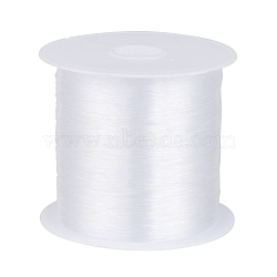 1 Roll Transparent Fishing Thread Nylon Wire, Clear, 0.25mm, about 109.36 yards(100m)/roll(X-NWIR-R0.25MM)
