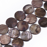 Freshwater Shell Beads Strands, Dyed, Flat Round, Saddle Brown, 19.5~20.5x2.5~3.5mm, Hole: 1mm, about 20pcs/Strand, 15.63 inch~16.02 inch(X-SHEL-T014-011A)