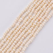 Natural Cultured Freshwater Pearl Beads Strands, Seashell Color, 1.5~2x1.5~3x1.5~2mm, Hole: 0.5mm, about 142pcs/strand, 13.78 inch(35cm)(PEAR-S016-001)