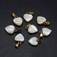 Shell Charms, with Brass Findings, Heart, Golden, 12~13x9~10x2~4mm, Hole: 2x5mm(SSHEL-E564-26G)