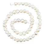 DIY Jewelry Making Kit, Including Natural Cultured Freshwater Pearl Beads Strands, Nylon Cord, Steel Big Eye Beading Needles, Seashell Color(DIY-HS0001-98)