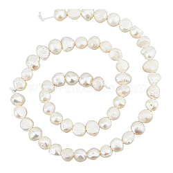 DIY Jewelry Making Kit, Including Natural Cultured Freshwater Pearl Beads Strands, Nylon Cord, Steel Big Eye Beading Needles, Seashell Color(DIY-HS0001-98)
