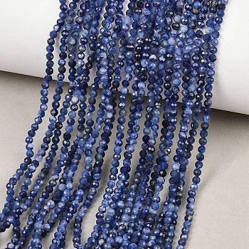 Natural Sodalite Beads Strands, Round, Faceted, 2~2.5mm, Hole: 0.5mm, about 191pcs/strand, 15.43''(39.2cm)