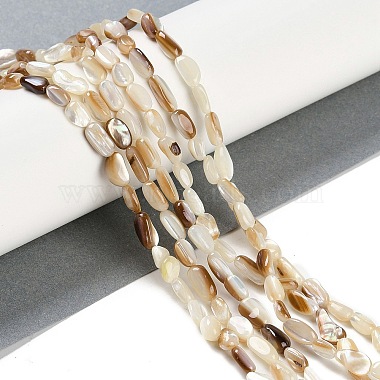 Natural Seashell Beads Strands(BSHE-H109-09)-2