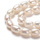 Natural Cultured Freshwater Pearl Beads Strands(PEAR-L033-67-01)-2