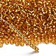 TOHO 6/0 Round Beads(X-SEED-TR06-0022B)-2