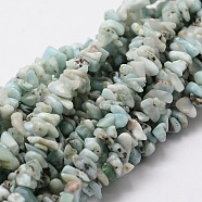 Natural Larimar Chip Bead Strands, 3~5x3~5mm, Hole: 1mm, about 16 inch(G-M298-13)