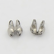 304 Stainless Steel Bead Tips, Stainless Steel Color, 5x3mm, Hole: 0.5mm, Inner Diameter: 2.5mm(A-STAS-Q002-1)