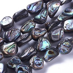 Natural Abalone Shell/Paua Shell Beads Strands, Nuggets, 10~19x9~14x5~8mm, Hole: 1mm, about 28~30pcs/strand, 15.7~15.9 inch(40~40.5cm)(SSHEL-F303-08B)
