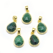 Natural Malachite Pendants, with Golden Tone Brass Findings, teardrop, Faceted, 14.5x9.5x5mm, Hole: 2.5x3.5mm(G-O176J-01G)