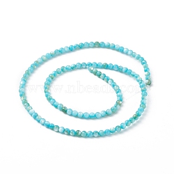 125Pcs Natural Freshwater Shell Beads, Dyed, Round, Deep Sky Blue, 3mm, Hole: 0.5mm(SHEL-B002-01E)