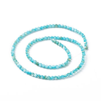 125Pcs Natural Freshwater Shell Beads, Dyed, Round, Deep Sky Blue, 3mm, Hole: 0.5mm