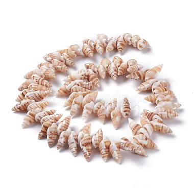 Natural Spiral Shell Beads Strands(X-BSHE-I016-08)-2
