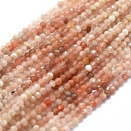 Natural Strawberry Quartz Beads Strands, Gradient Color, Gradient Style, Round, Faceted, 3mm, Hole: 0.5mm, about 153pcs/strand, 15.35 inch(39cm)(G-D0013-08)
