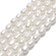 Natural Cultured Freshwater Pearl Beads Strands, Rice, Linen, 5.5~7.5x3.8~4.2mm, Hole: 0.6mm, about 58~60pcs/strand, 13.98''~14.17"(35.5~36cm)(PEAR-J006-10E-01)