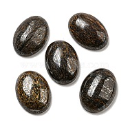 Natural Bronzite Cabochons, Oval, 18x13x5~5.5mm(G-C115-01A-21)