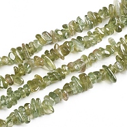 Natural Green Apatite Chips Beads Strands, 2.5~6x4.5~10.5mm, Hole: 0.8~1mm, about 33.86 inch(86cm)(G-D0002-A13)